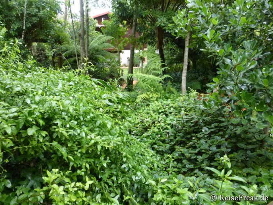 Knysna Gästehaus Littlewood Garden, Nov. 2015 Guesthouse Littlewood Garden