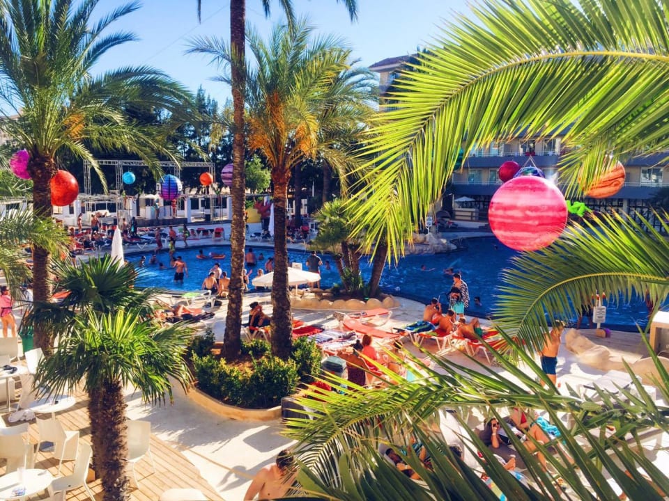 Pool Club B By Bh Mallorca Adults Only Magaluf • Holidaycheck Mallorca Spanien