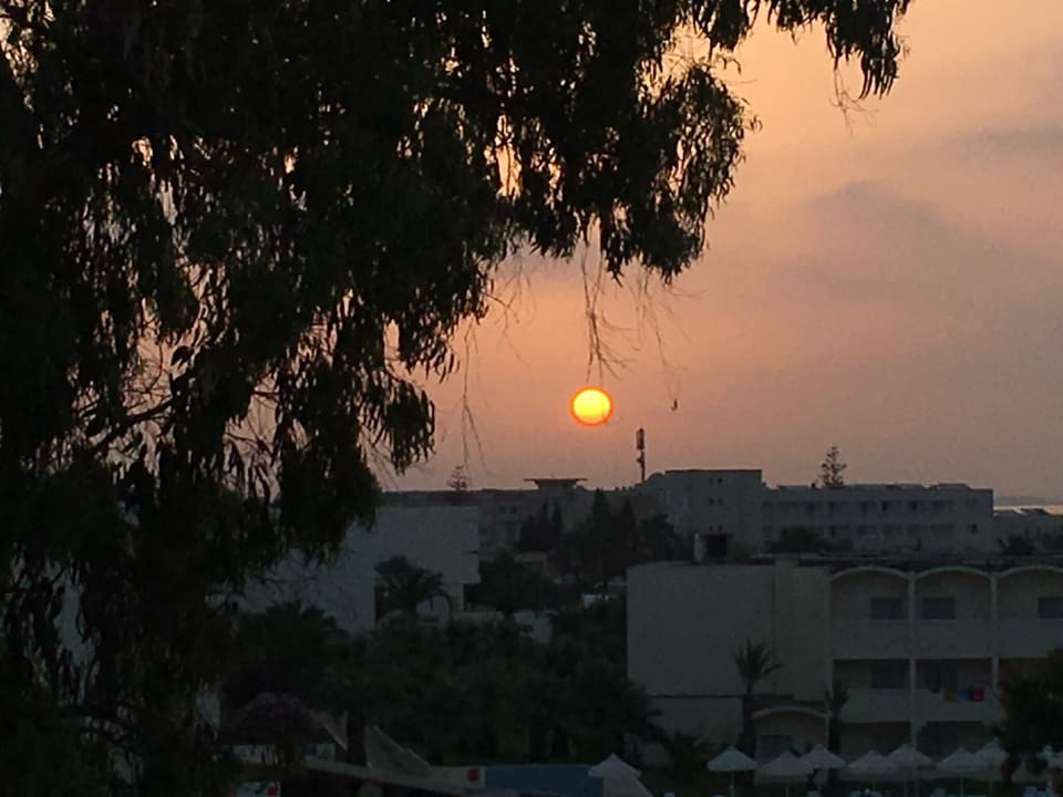 Ausblick Hotel Royal Nozha