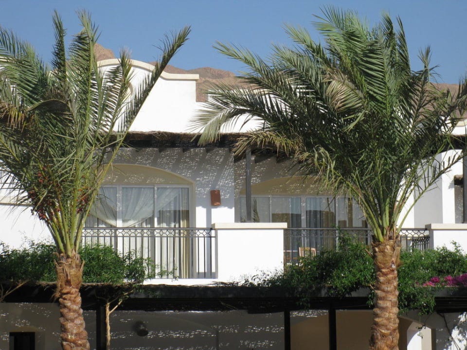 Junior Suite JAZ Dahabeya