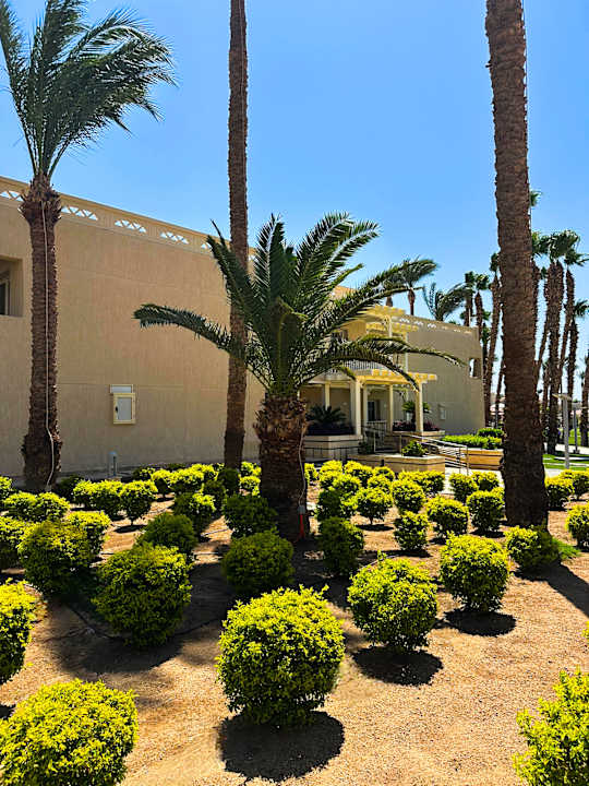 Gartenanlage Beach Albatros Resort