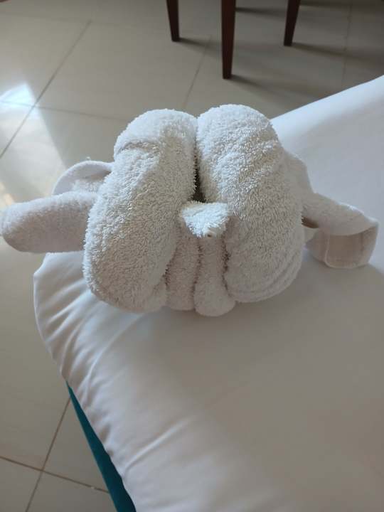 Gastro Coral Hills Resorts & SPA