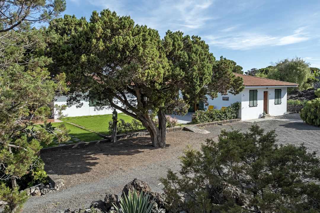 Gartenanlage Las Sabinas Villa - El Guincho, Garachico