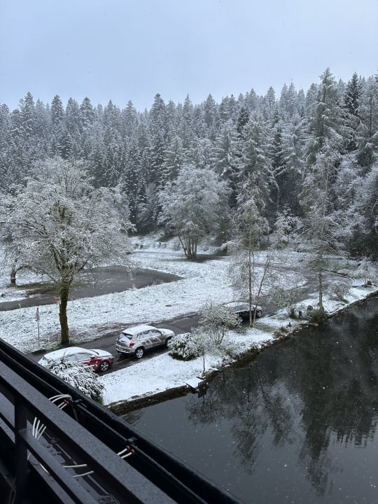 Ausblick Hotel Langenwaldsee
