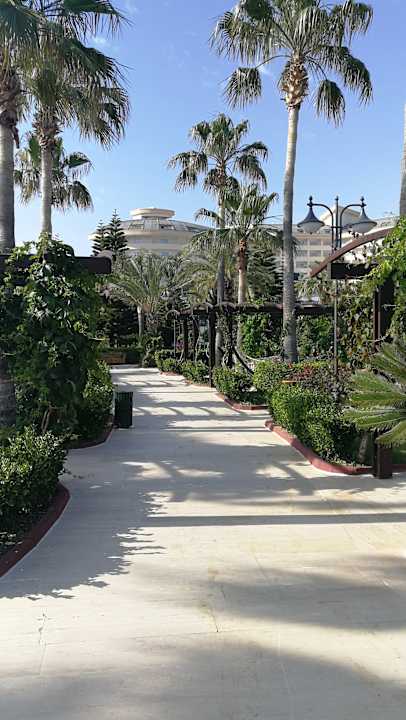 Gartenanlage Saphir Resort & Spa