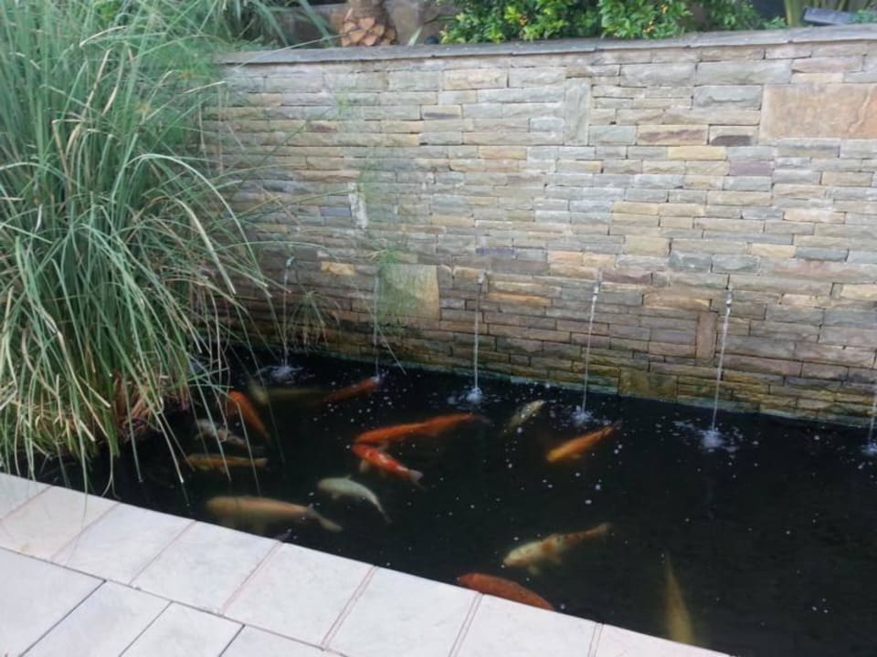 Teich Travel Lodge Arebbusch