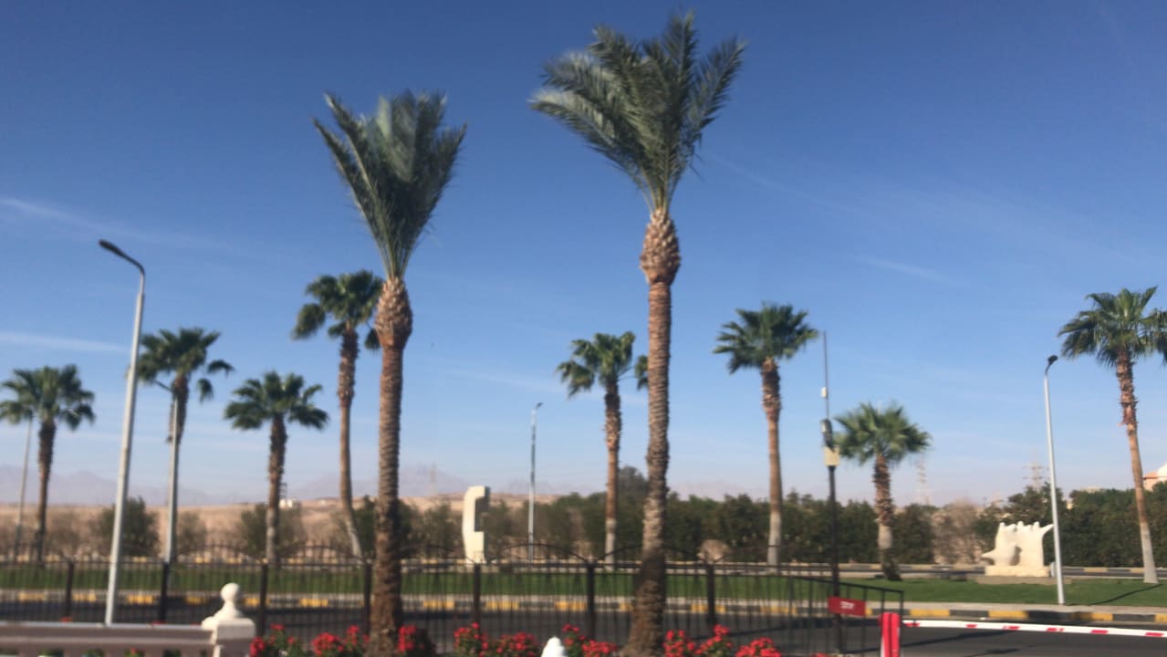 Ausblick Pickalbatros Palace Resort