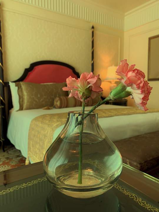 Zimmer The Leela Palace New Delhi