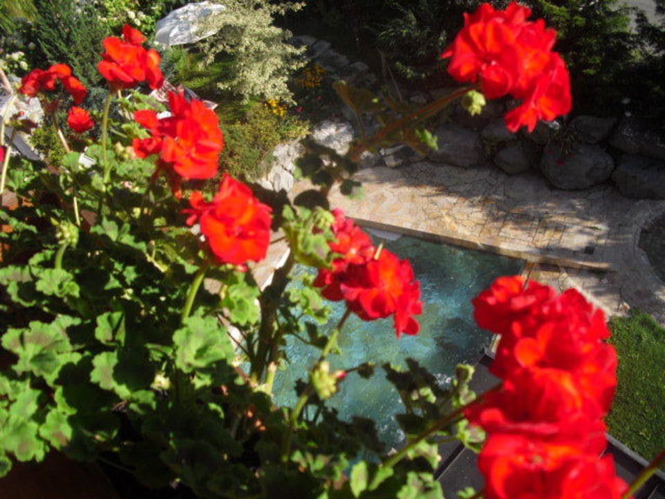 Balkonblumen Naturhotel Lüsnerhof