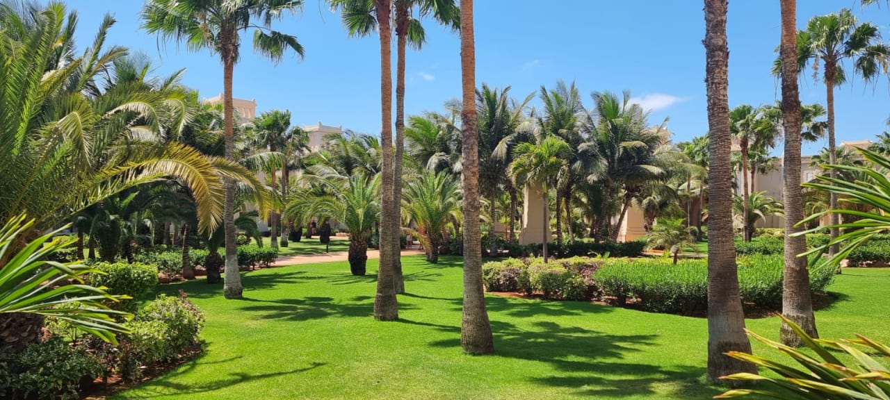 Gartenanlage Hotel Riu Touareg