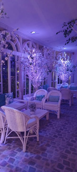 Sonstiges Desert Rose