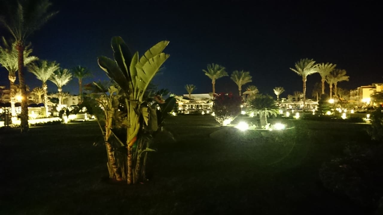 Gartenanlage Pickalbatros Dana Beach Resort - Hurghada