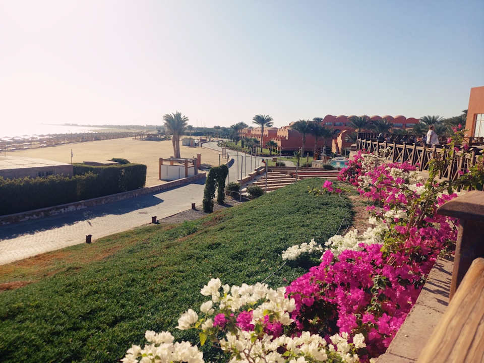 Ausblick Novotel Marsa Alam Beach Resort
