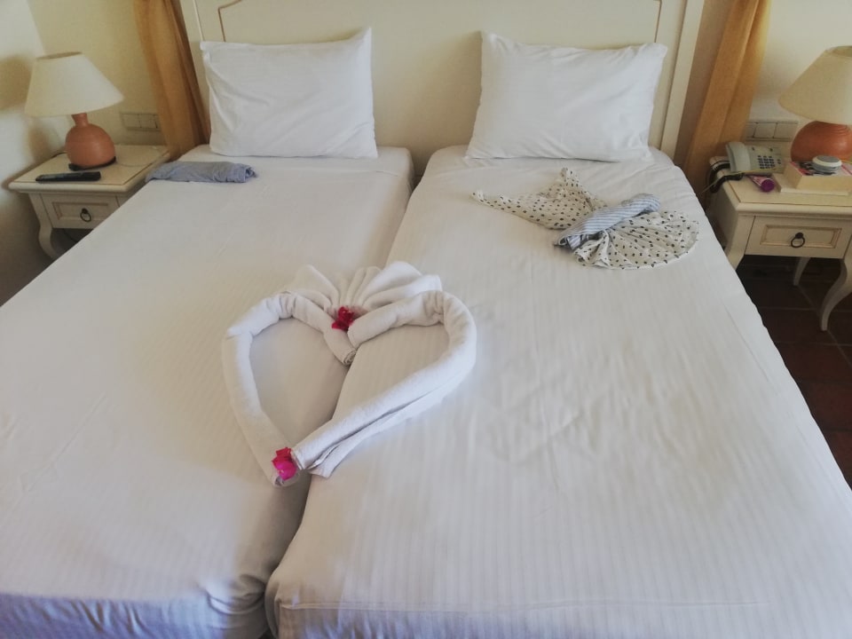 Zimmer Alexander Beach Hotel & Village Resort