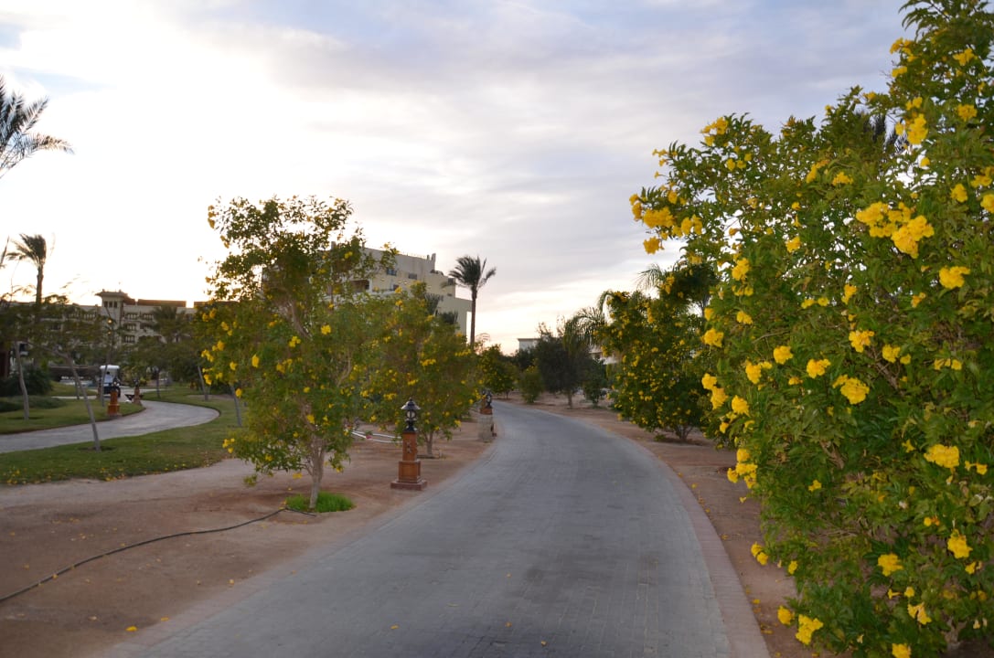 Weg zum Strand in der Dämmerung Steigenberger ALDAU Beach Hotel