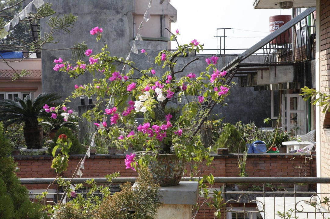 Jaguranda Shangrila Guesthouse