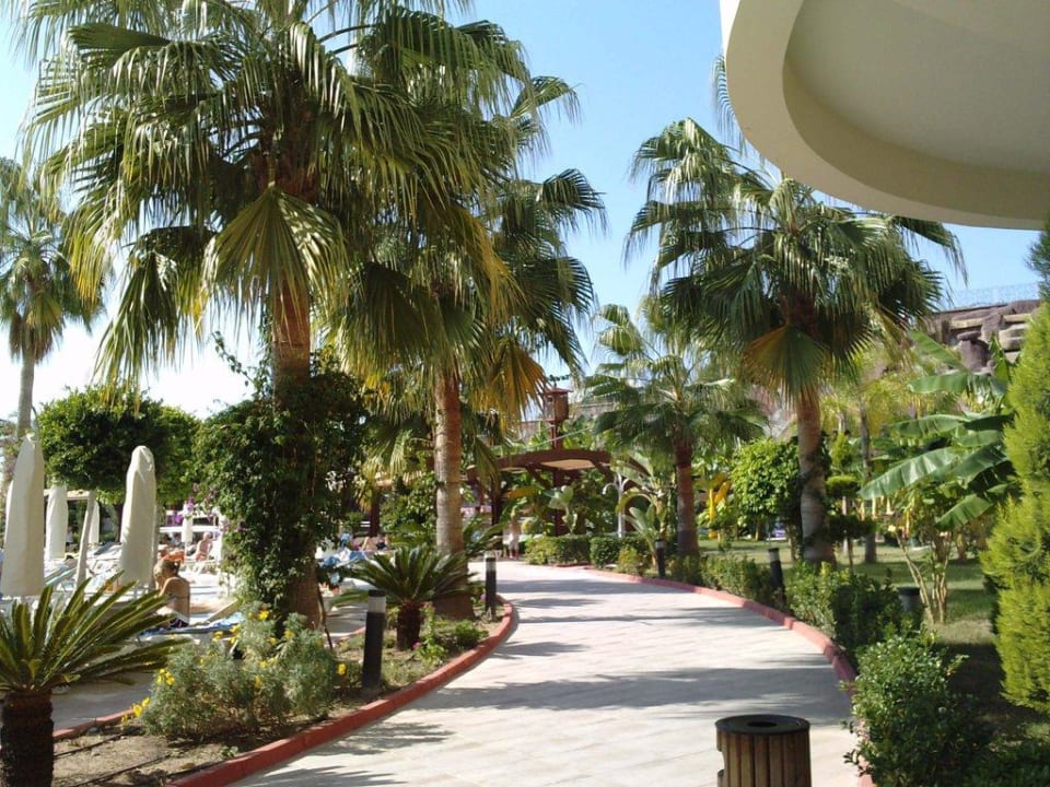 Weg zum Strand Saphir Resort & Spa