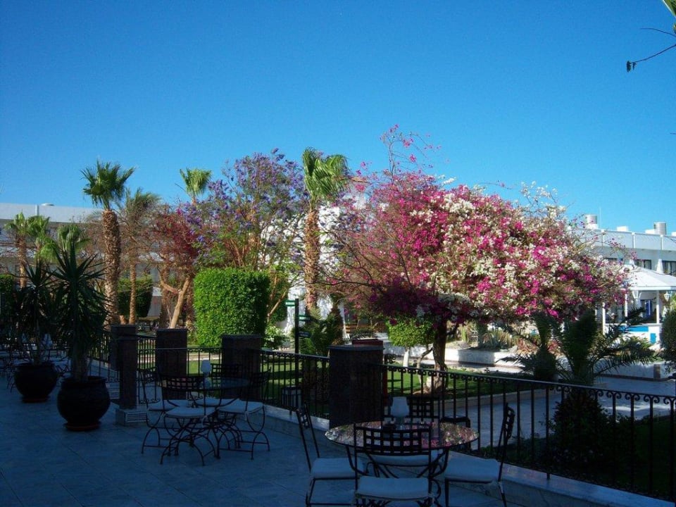 Terrasse The Grand Hotel Hurghada