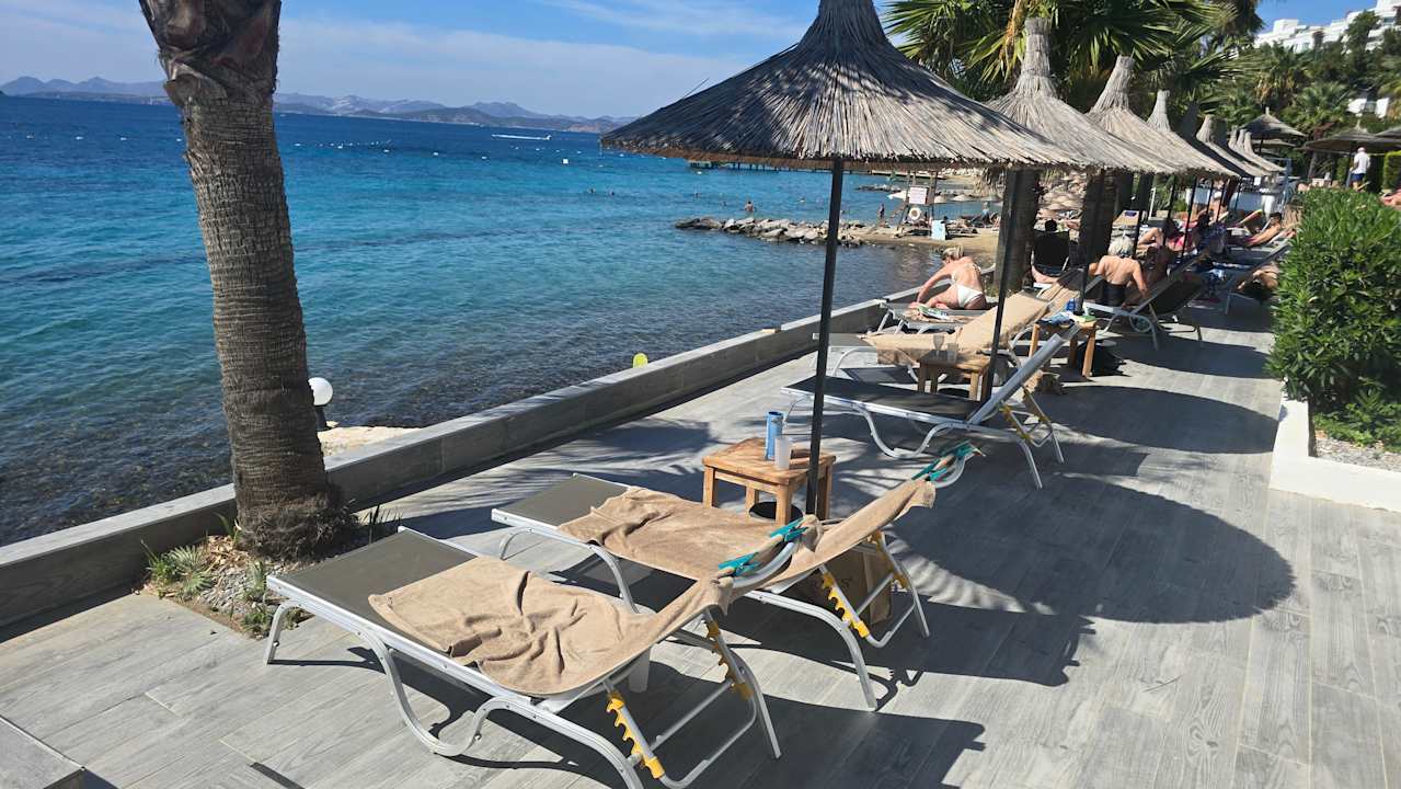 Ausblick TUI MAGIC LIFE Bodrum - Adult Only (16+)