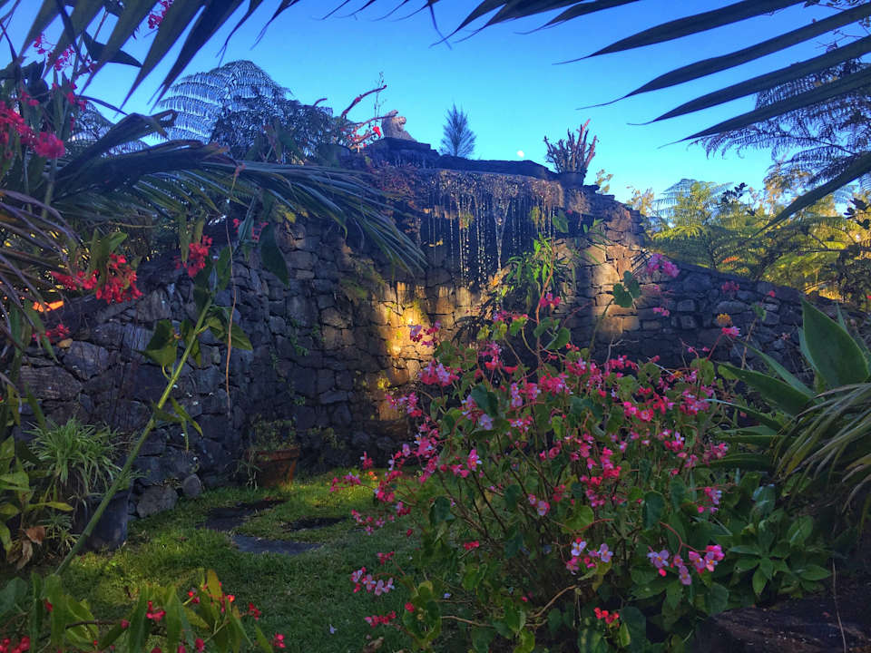 Gartenanlage Chambres d'Hotes des Agrumes