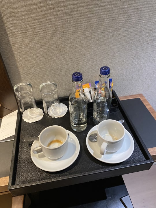 Zimmer Park Grand Paddington Court London