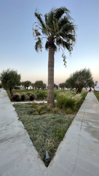 Gartenanlage Grecotel LUXME Dama Dama