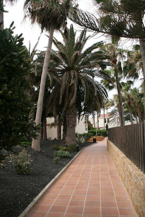 Droga na kolacje Barceló Fuerteventura Castillo