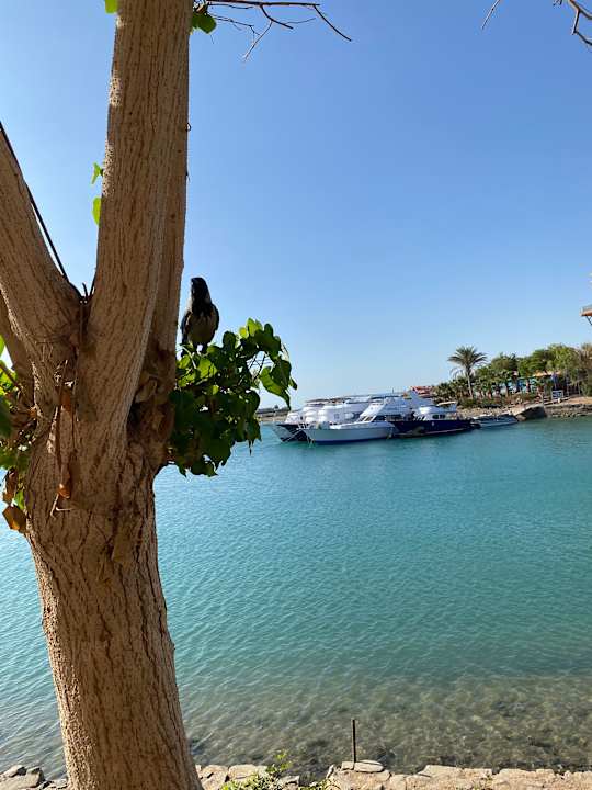 Ausblick Hotel Three Corners Ocean View prestige - Adults only