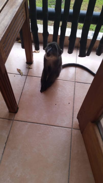 Hotel Baobab Beach Resort Baobab Beach Resort & Spa