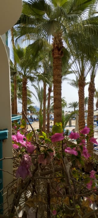 Ausblick Bella Vista Resort Hurghada
