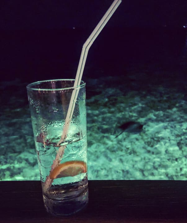 Bar Safari Island Maldives