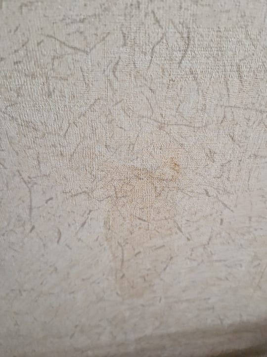 Zimmer Latanya Park Resort