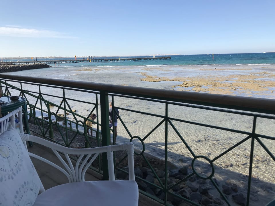 Ausblick Desert Rose