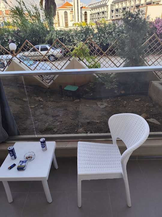 Zimmer Seashell Vega