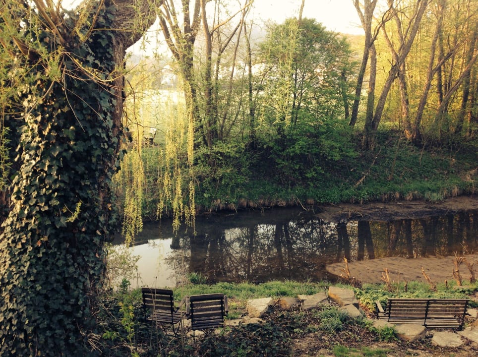 Unser Zimmer- bzw. Terrassenausblick Landhofmühle