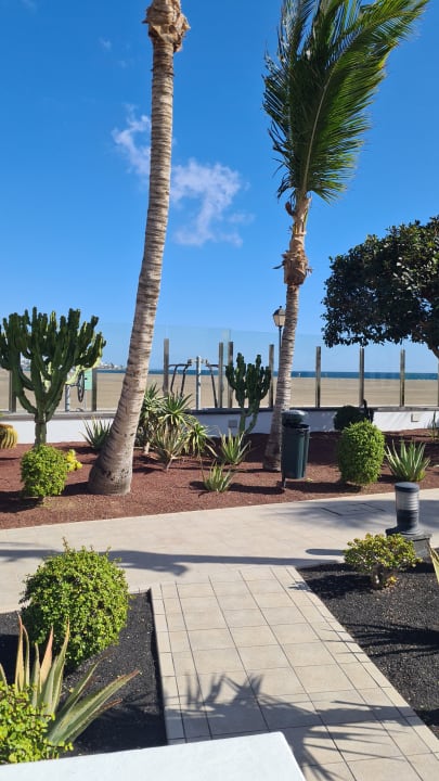 Gartenanlage Hotel Las Costas