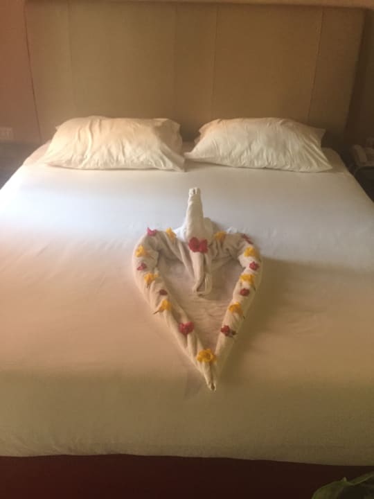 Zimmer Jaz Makadi Oasis Resort