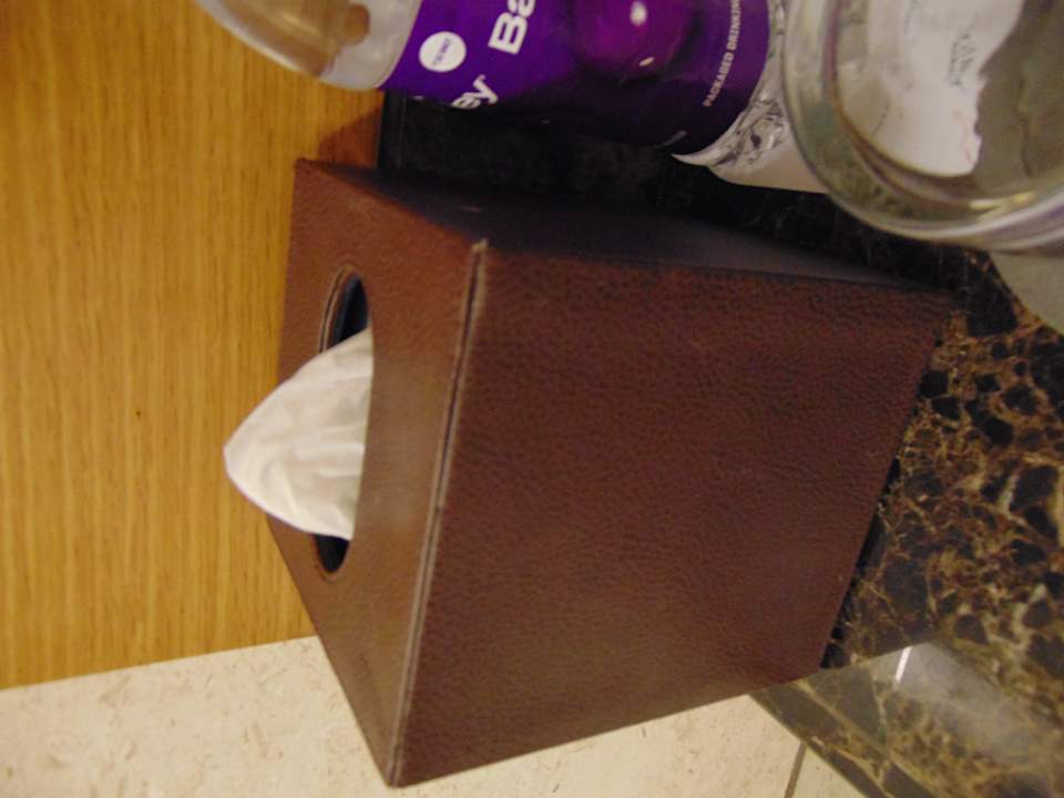 Zimmer Hotel The Westin Chennai Velachery