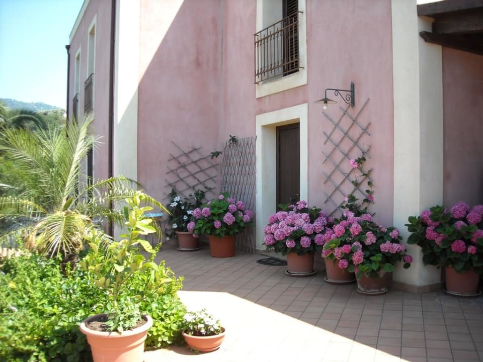 I fiori del giardino di Villa Luca Agriturismo Villa Luca