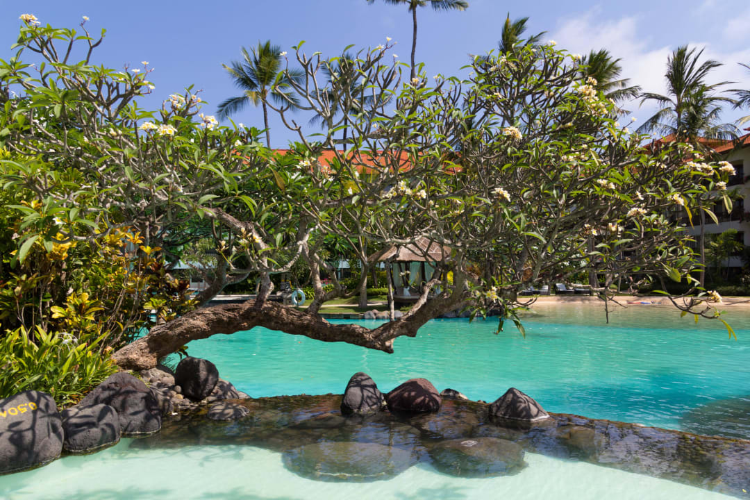 Impressionen aus der Poolanlage The Laguna A Luxury Collection Resort & Spa