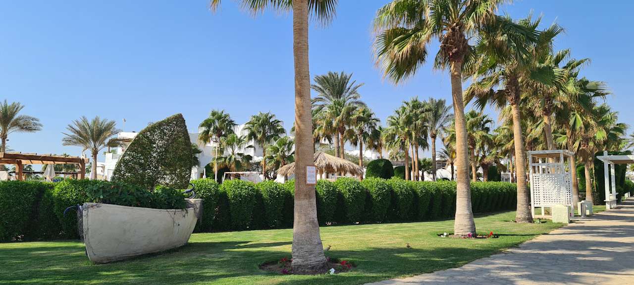 Außenansicht Sharm Club Beach Resort
