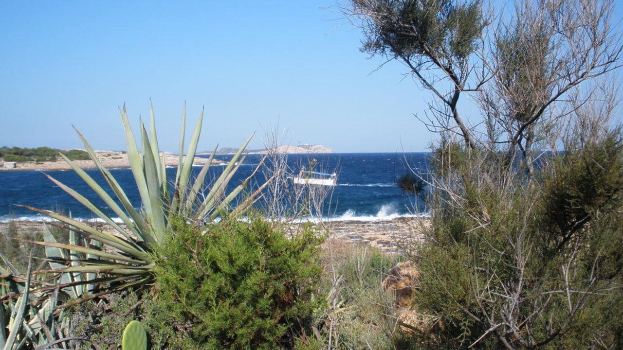 Blick vom Garten aufs Meer Sirenis Seaview Country Club