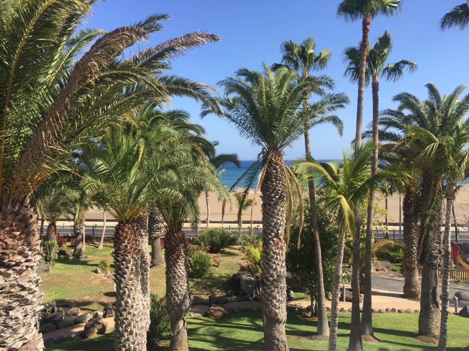 Ausblick Hipotels La Geria