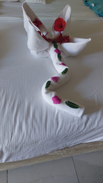 Zimmer Amarina Abu Soma Resort & Aquapark