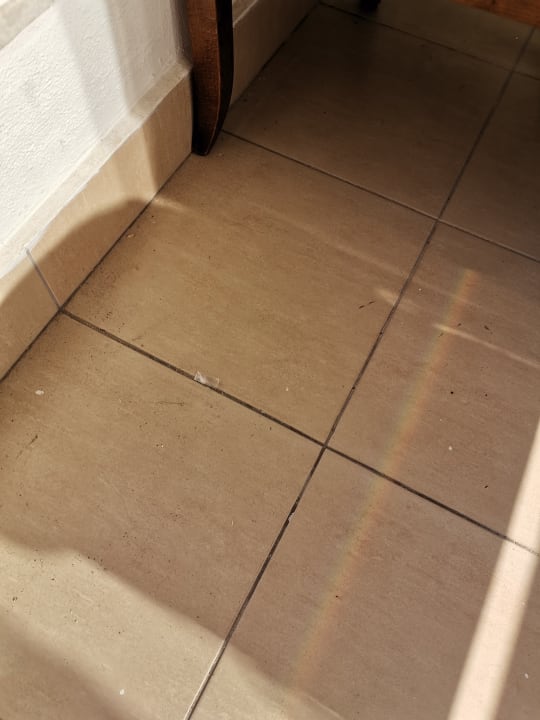 Zimmer Well Palace Side