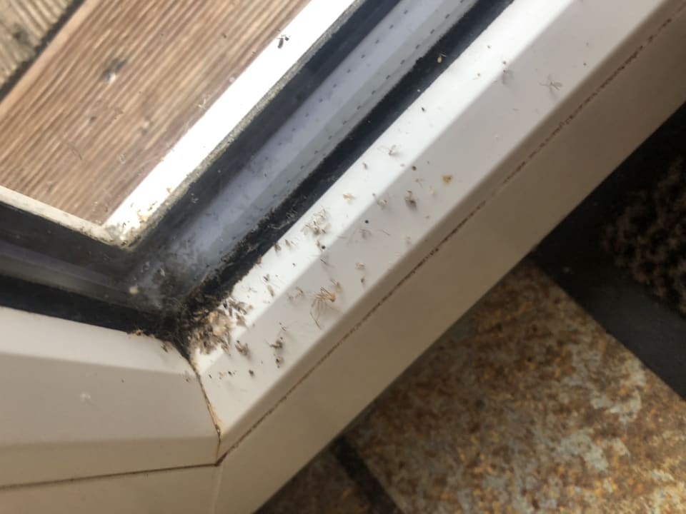 Zimmer Familienhotel Ebbinghof