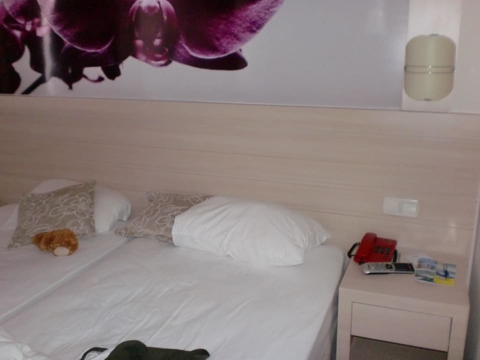 Unser Bett Seaden Corolla Hotel