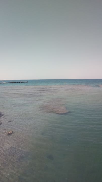 Ausblick Desert Rose