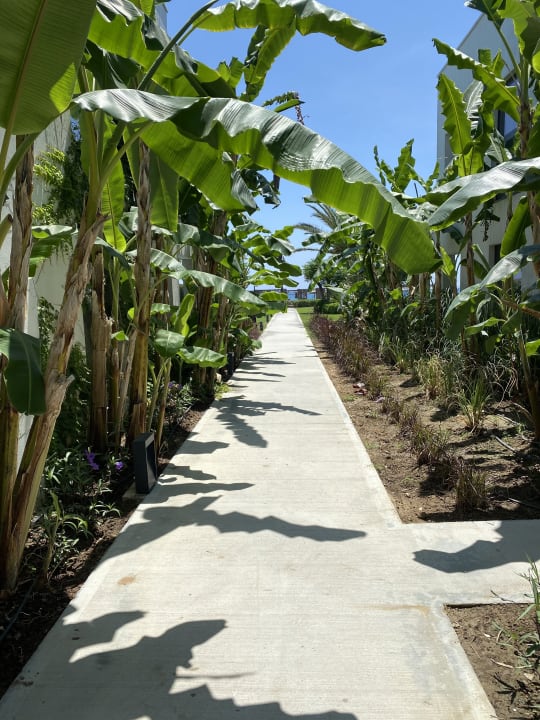 Außenansicht Paloma Finesse