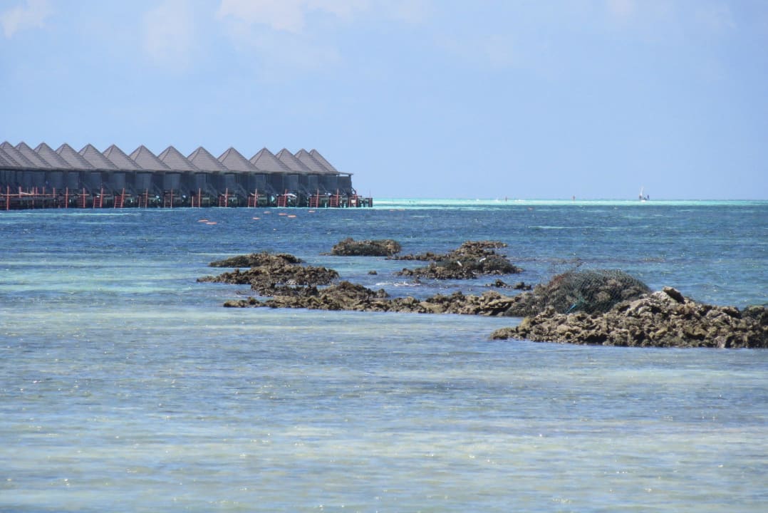 Realität 6 Kuredu Island Resort & Spa